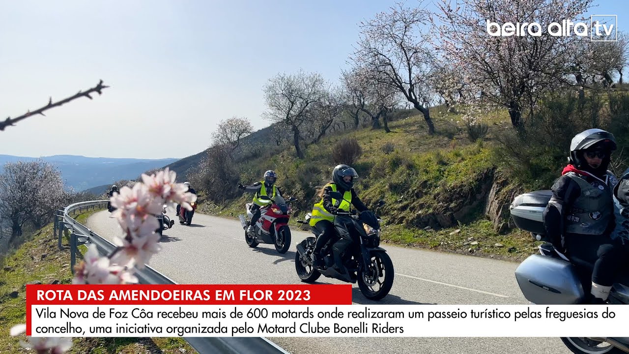 Rota das Amendoeiras em Flor 2023 em Vila Nova de Foz Côa