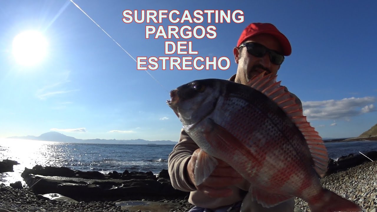 SURFCASTING, PARGOS DEL ESTRECHO