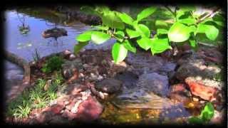 Beautiful Water Feature by Prime Landscape Services