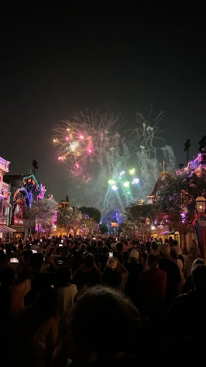 🌟 Where wishes light up the sky—only on Main Street 🏰🎇 #DisneyDreams #FireworksMagic
