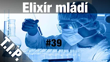Jaká je velikost tetování?