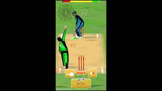 Smashing cricket a cricket game like none other.  Game screenshot 2