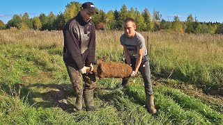 Отличные находки!Раскапываем леспромхозовские захронения. Так и трактор соберем!