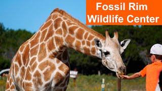 Fossil Rim Wildlife Center | Dallas Safari | Safari Park Glen Rose Tx (4k) by Travel World More 5,686 views 2 years ago 2 minutes, 33 seconds