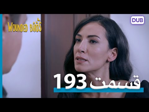 پرندگان زخمی با دوبلۀ فارسی قسمت 193 Wounded Birds Episode 193