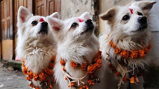 Жалаңаш мультфильм кейіпкерлері