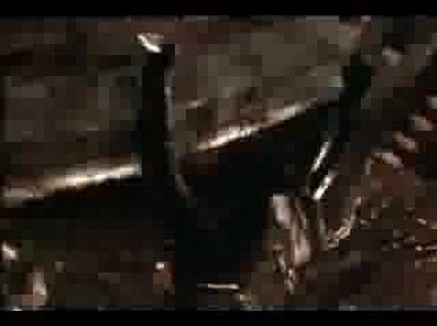 Dungeons and Dragons Trailer
