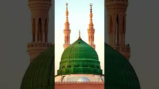 #trending #lifeisbutadream #instagramfeatures #reels