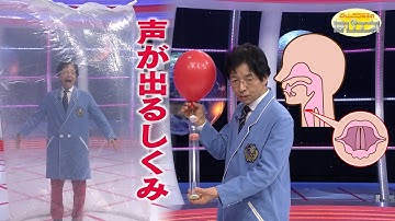 声が出るしくみ／The Mechanism Behind Your Voice  *Audio in EN / GE / FR / PT / ES