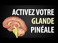 Comment Activer la Glande Pinéale ? Regardez !