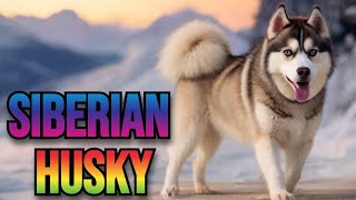 Northern Fury by Skye Lhasa 1,480 views 2 months ago 3 minutes, 52 seconds