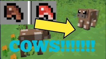 Bloxd.io | Finally Bloxd.io add Cows!!!!!! || JAVED THE SKIPS ||