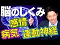 【脳②】感情の生まれ方・運動神経の仕組み・恐ろしい脳の病気