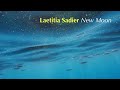 Laetitia sadier  new moon  official  duophonic super 45s