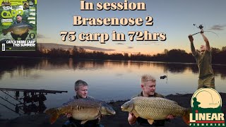 In Session Recap 75 Carp in 72 Hrs on linear fisheries B2.