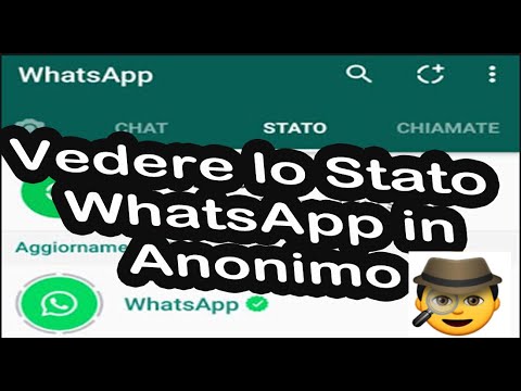 Come vedere lo stato di WhatsApp senza essere visti in Anonimo