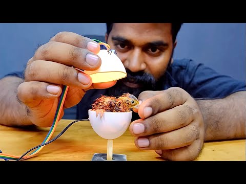 Smallest Incubator In The World | താറാമുട്ടയിൽ കാടമുട്ട വിരിയിച്ചപ്പോൾ | M4 Tech |