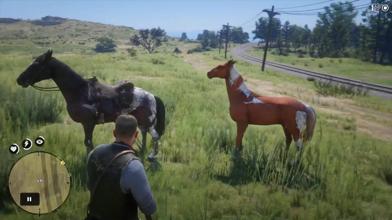 O DOMADOR DE CAVALOS - Em busca do CAVALO DA NEVE, o melhor cavalo do jogo  - Red Dead Redemption 2 