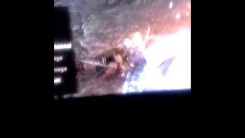 Nova and yeti going at it /never winter