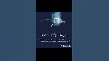سورة الأنبياء /الآية( 87)/: “وذا النون إذ ذهب مغاضبا”