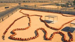 مأمور سجن سادي بيربط المساجين في بعض على هيئة قطار بشري عشان ميهربوش ابدا.. The human centipede