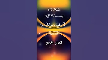 سورة الفلق #foryou #القرآن_الكريم #malikzaheerd3t #islamicvideo #quran