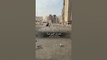 أَمَّن جَعَلَ الْأَرْضَ قَرَارًا  (61) | سورة النمل