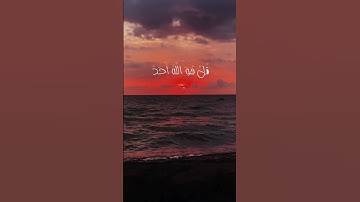 سورة الاخلاص تلاوة خاشعة #القرآن_الكريم