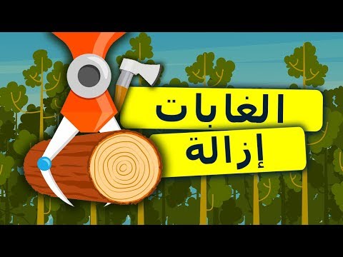 فيديو: إزالة الغابات - مشاكل الغابة. إزالة الغابات مشكلة بيئية. الغابة هي رئتي الكوكب