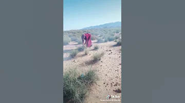 ركروكي 