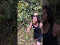 柿を盗んでブチギレされる原人 #shorts