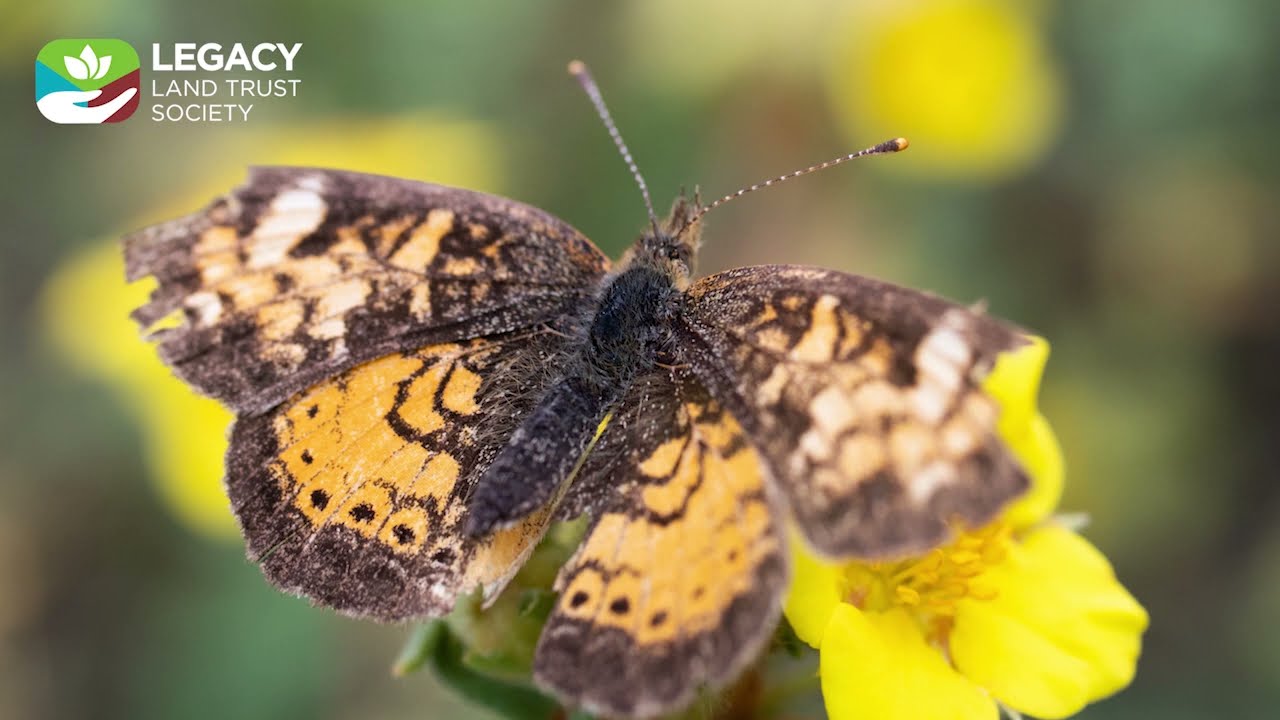Headwaters of the Little Red Deer River   Water Quality and You 2 0