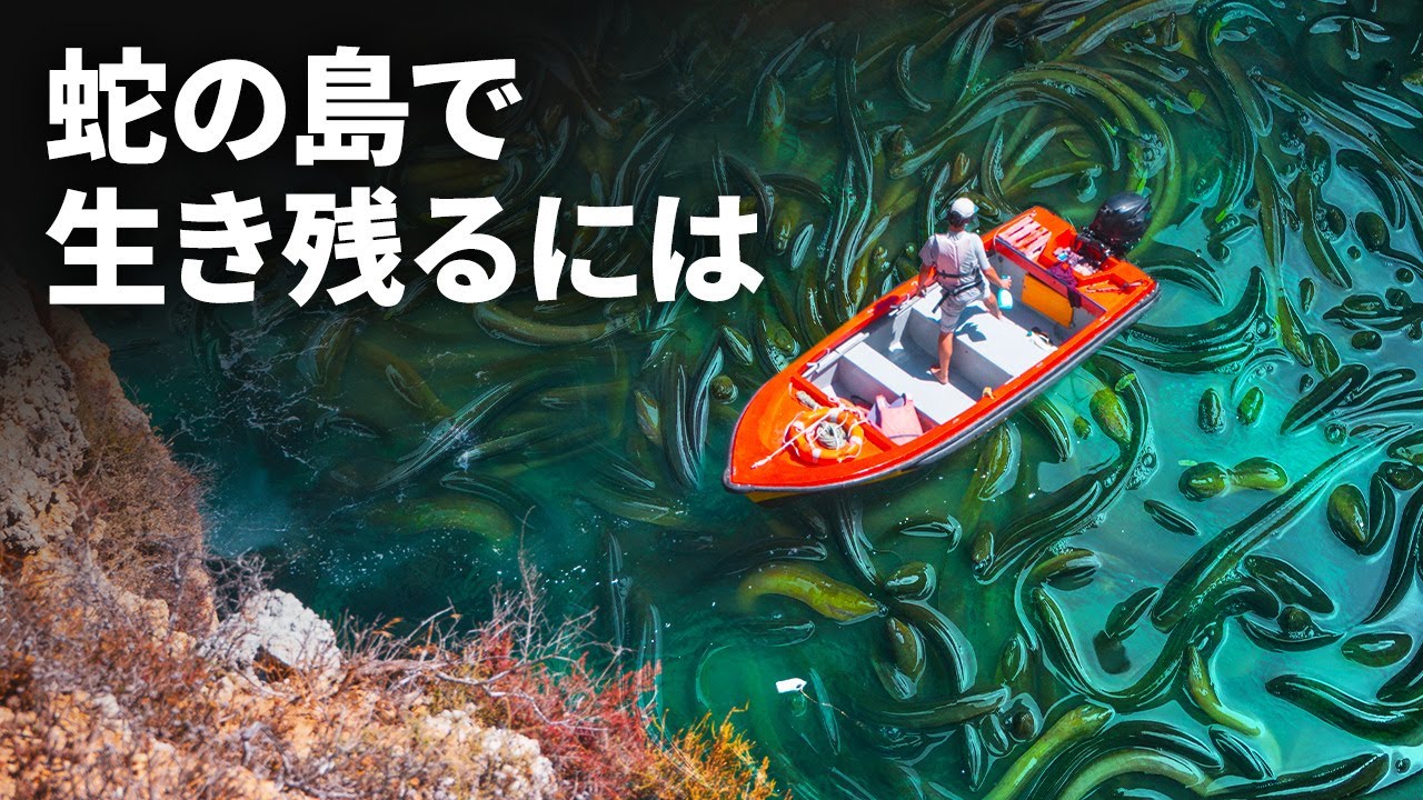 危険な蛇の島への上陸