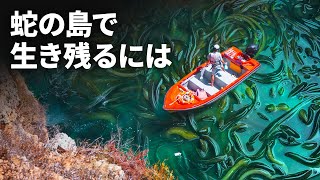 危険な蛇の島への上陸