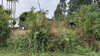 Beautifully transformation an overgrown lawn - Help clean up an abandoned house