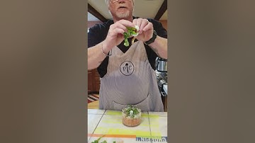 Making salsa using the Pampered Chef Manual Food Processor