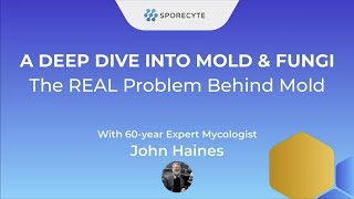 Deep Dive Into Mold & Fungi, & The REAL Problem Behind Mold