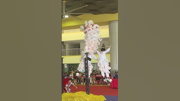 Thumbnail of Fall and Rise | Lion dance