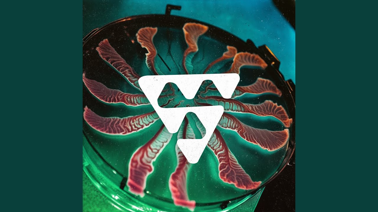 Geiger (Original Mix) adlı videoyu YouTube'da izle Geiger (Original Mix) adlı videoyu YouTube'da izle