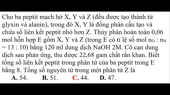 Có bao nhiêu đipeptit tạo thành từ glyxin và alanin năm 2024