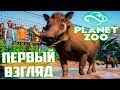 PLANET ZOO BETA   ПЕРВЫЙ ВЗГЛЯД НА ЗООПАРК