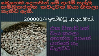 ස්වයං රැකියා  swayan rakiya