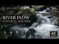 Quiet River 15 Gentle Water Sounds Through Hidden Forest Rocks 🌿 3 Hours of Peaceful Nature Ambience
