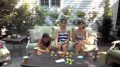 Baby Food Challenge