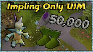 50,000 Eclectic Implings for Ranger Boots? - Impling Only UIM (#17)