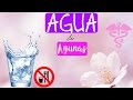 Agua en ayunas | Beneficios | SaMi Beauty TV