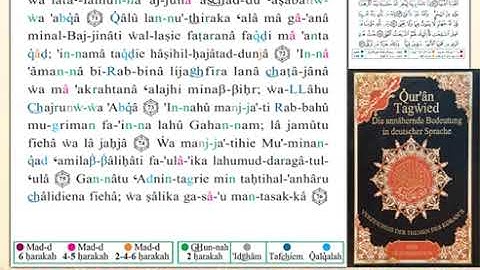 ختمة من مصحف التجويد باللغة الألمانية الصفحة رقم 316