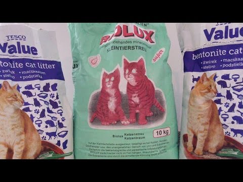 Videó: Mi A Legjobb Alom A Holt Macskáknak?