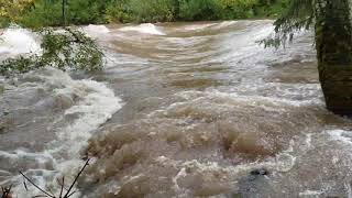 Calapooia River Crankin