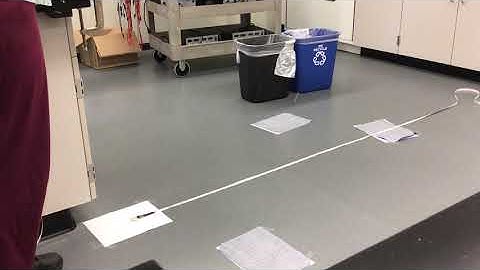 Exercise 3B Setup from Lab 9: Conservation of Momentum, Georgian Court University